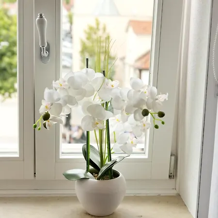 Apartmán Am Linggplatz Bad Hersfeld